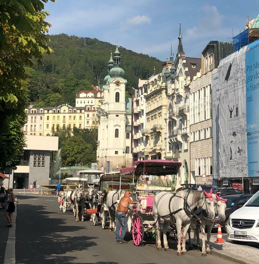 Apartmán Orchidej u Vřídla Karlovy Vary Exterior foto